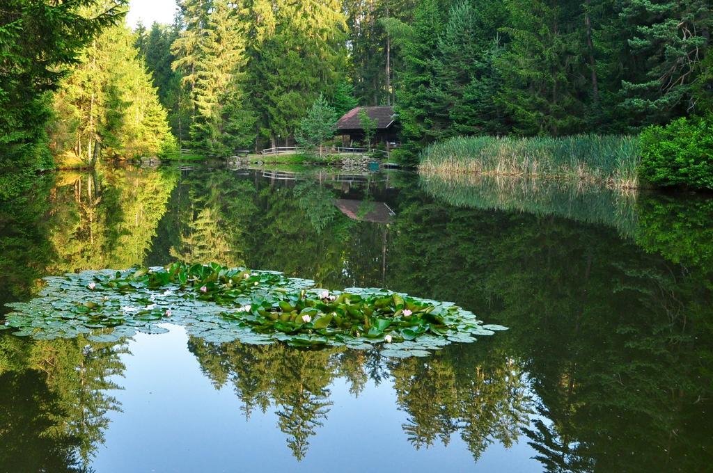 Klieber - Urlaub Am Biobauernhof Villa Millstatt Dış mekan fotoğraf