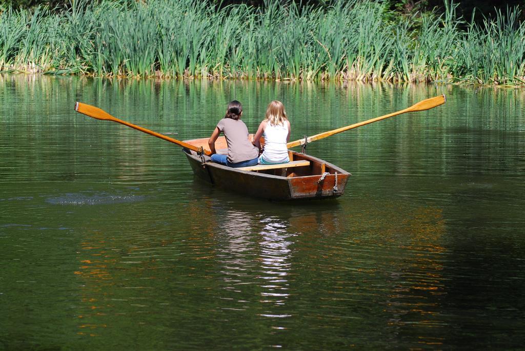 Klieber - Urlaub Am Biobauernhof Villa Millstatt Dış mekan fotoğraf
