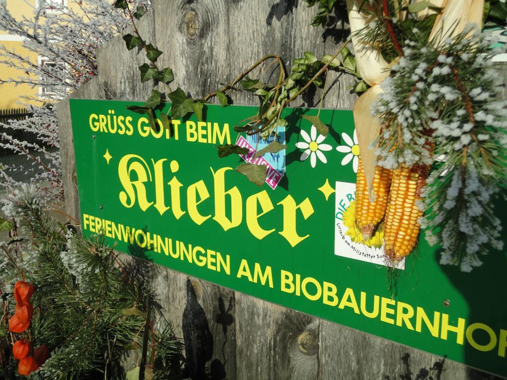 Klieber - Urlaub Am Biobauernhof Villa Millstatt Dış mekan fotoğraf